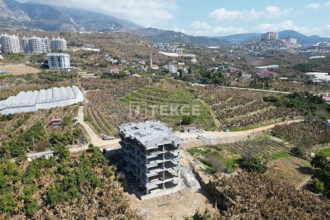 Пентхаус с 2 спальнями в Chau Lang, Вьетнам №82355 28