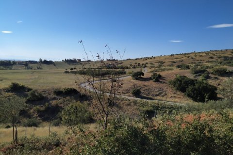 1 bedroom Apartment in Thessaloniki, Greece No. 52115 14