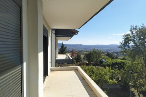 1 bedroom Apartment in Thessaloniki, Greece No. 52115 2