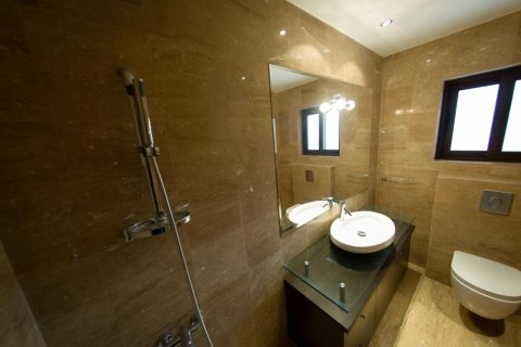 Studio Villa in Limassol, Cyprus No. 105693 9