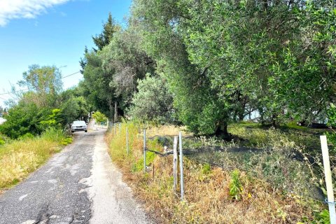 4337m² Land in Corfu, Greece No. 107765 7