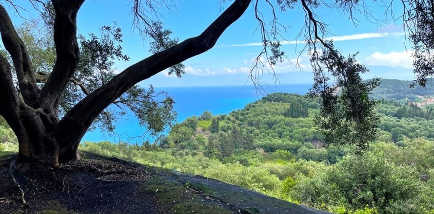 4337m² Land in Corfu, Greece No. 107765