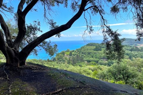 4337m² Land en Corfu, Greece No. 107765