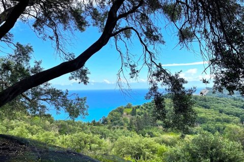 4337m² Land in Corfu, Greece No. 107765 4
