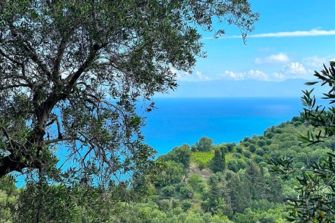 4337m² Land in Corfu, Greece No. 107765 12