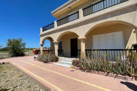 Земельный участок с 6 спальнями в Пафос, Кипр №65231 28