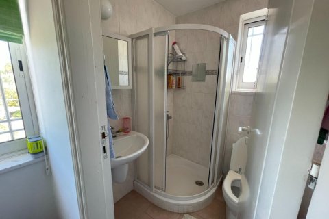 Земельный участок с 6 спальнями в Пафос, Кипр №65231 25