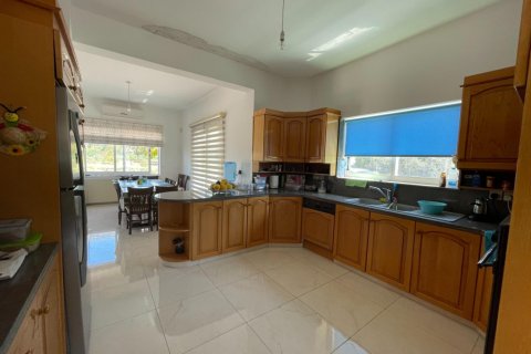 Земельный участок с 6 спальнями в Пафос, Кипр №65231 6