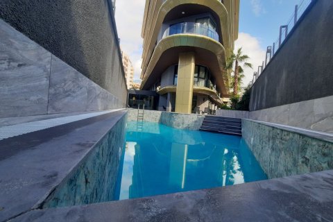 1 bedroom Apartment in Chau Lang, Vietnam No. 11995 13