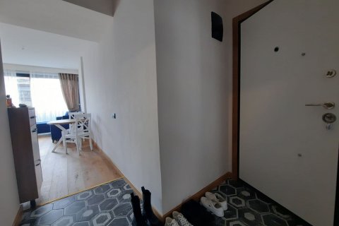 1 bedroom Apartment in Chau Lang, Vietnam No. 11995 3