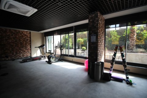 1 bedroom Apartment in Chau Lang, Vietnam No. 11995 12