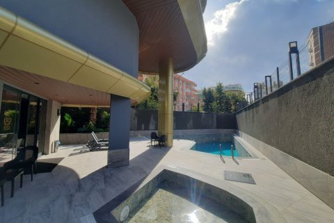 1 bedroom Apartment in Chau Lang, Vietnam No. 11995 16