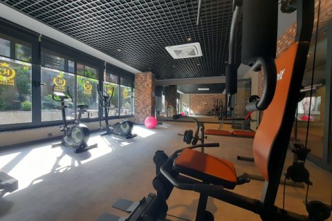 1 bedroom Apartment in Chau Lang, Vietnam No. 11995 22