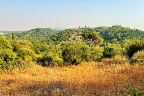 Земельный участок 21000м² в Керкира, Греция №56187 1