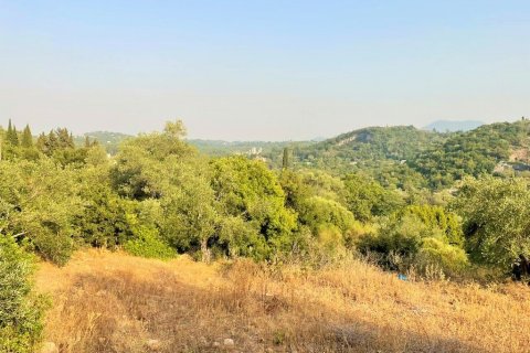 Земельный участок 21000м² в Керкира, Греция №56187 9