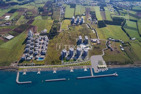 2 chambres Appartement à Phu Le, Vietnam No. 11669 2