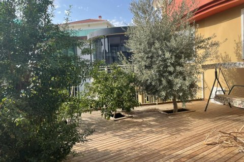 3 rooms Villa in Lien Chieu, Vietnam No. 21116 2