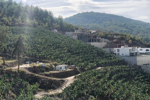 3 rooms Villa in Lien Chieu, Vietnam No. 21116 6