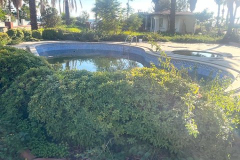 7 bedrooms Villa in Nong Ha, Vietnam No. 13969 2