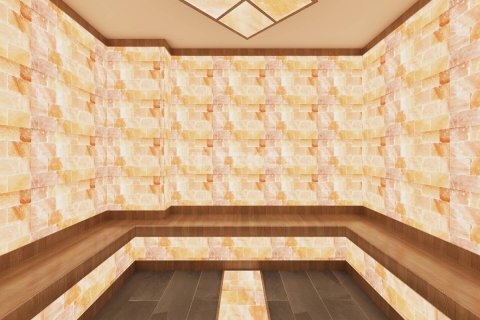 2 chambres Penthouse à Chau Lang, Vietnam No. 11398 21