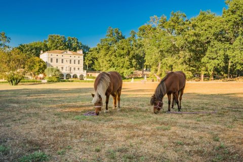 9 bedrooms Villa in Fayence, France No. 69156 3