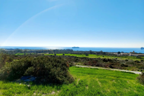 Commercial property in Pyrgos, Cyprus No. 104453 2