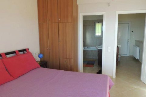 3 chambres Villa à Malesina, Greece No. 57304 8