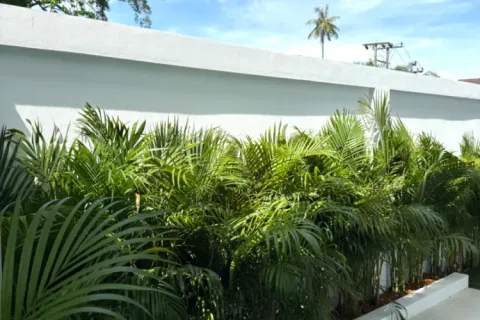 2 bedrooms Land in Que Nham, Vietnam No. 73591 3