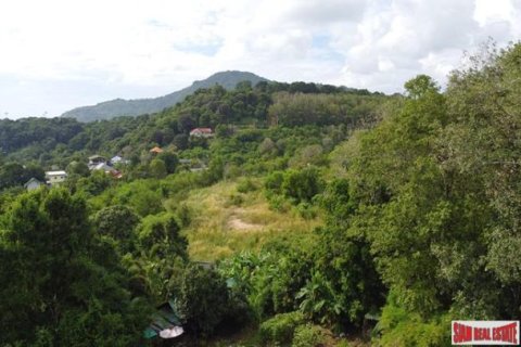 4590m² Land in Rawai, Thailand No. 96385 11