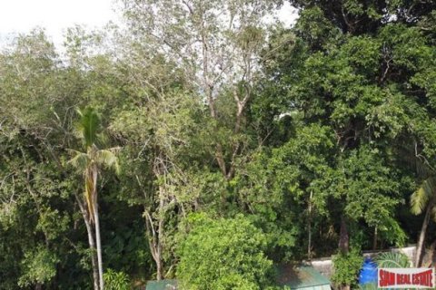 4590m² Land in Rawai, Thailand No. 96385 10
