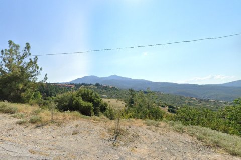 Земельный участок 3300м² в Panorama, Греция №108359 6