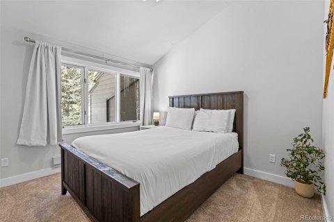 Кондоминиум  с 3 спальнями в Брекенридж, США №104531 28