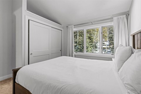 Кондоминиум  с 3 спальнями в Брекенридж, США №104531 29