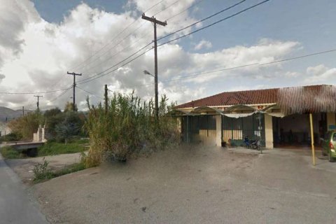 Shop in Zakynthos, Greece No. 24579 2