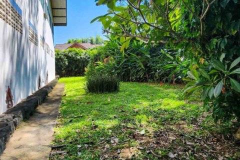 1550m² Warehouse en Chiang Mai, Thailand No. 98061 16