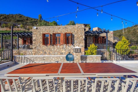 3 chambres Villa à Hoang An, Vietnam No. 89050 14