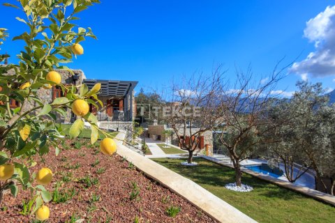 3 chambres Villa à Hoang An, Vietnam No. 89050 22