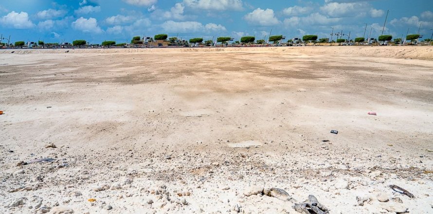 16875m² Land in Al Tebeen, Vietnam No. 5879