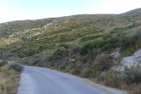 Land in Zakynthos, Greece No. 28114 4