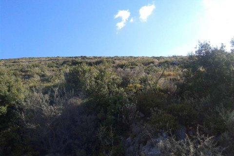 Land in Zakynthos, Greece No. 28114 9