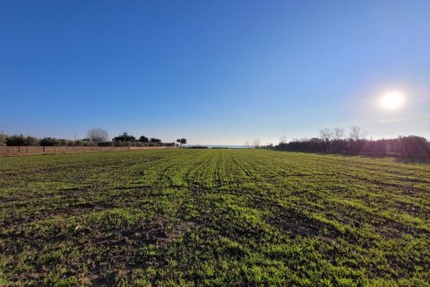 9375m² Land en Epanomi, Greece No. 108483 4