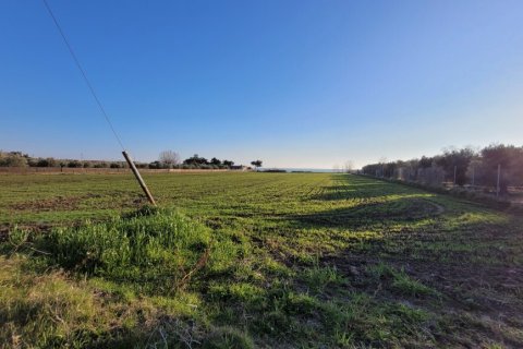 9375m² Land en Epanomi, Greece No. 108483 7