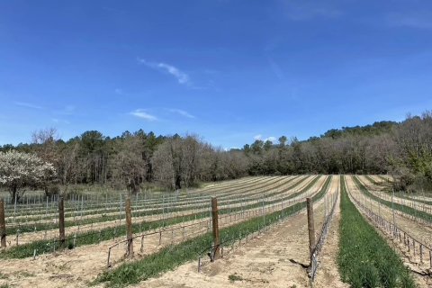 1044m² House à Tourtour, France No. 68921 9