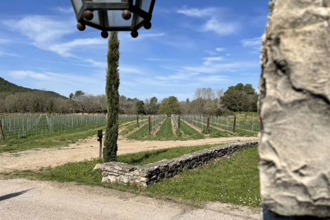 1044m² House à Tourtour, France No. 68921 1