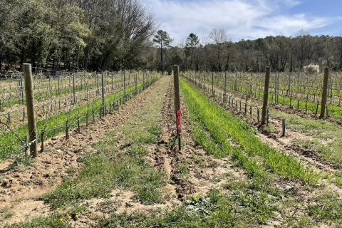 1044m² House à Tourtour, France No. 68921 7