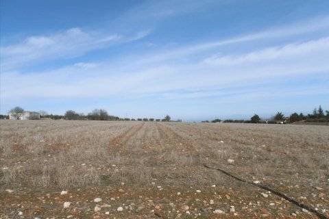 35000m² Land in Dion, Greece No. 60550 1