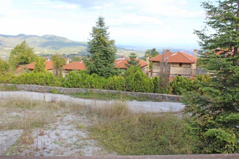 Дом с 4 спальнями в Пиерия, Греция №113185 10