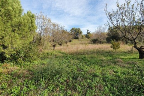 2000m² Land in Chalkidiki, Greece No. 56140 1