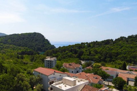 1 bedroom Apartment in Budva, Montenegro No. 104736 14