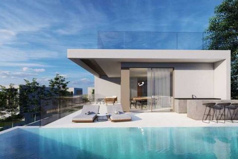 4 bedrooms Villa in Pegeia, Cyprus No. 29389 12